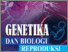 [thumbnail of Buku Genetika dan Biologi Reproduksi.pdf]